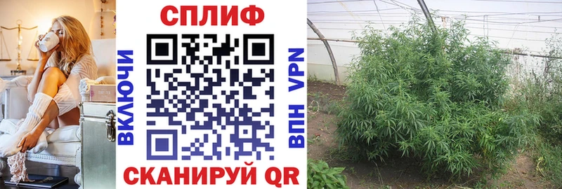 Шишки марихуана семена  наркотики  Вихоревка 